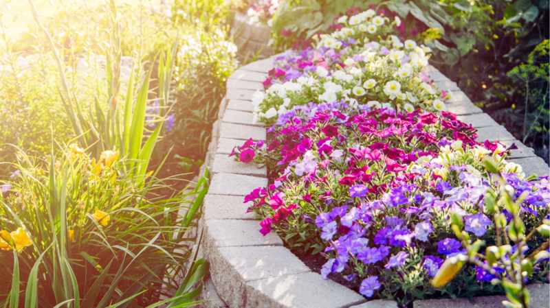 Curb Appeal