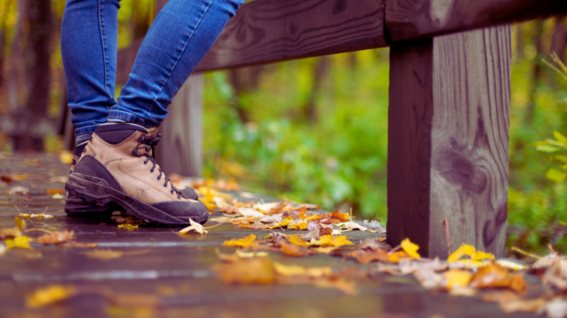 Fall Hiking